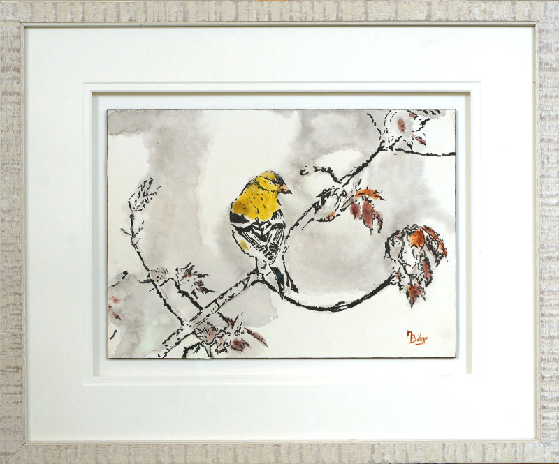 Finch - Framed