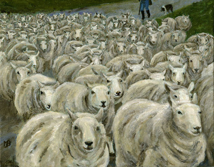 A Flock of Sheep