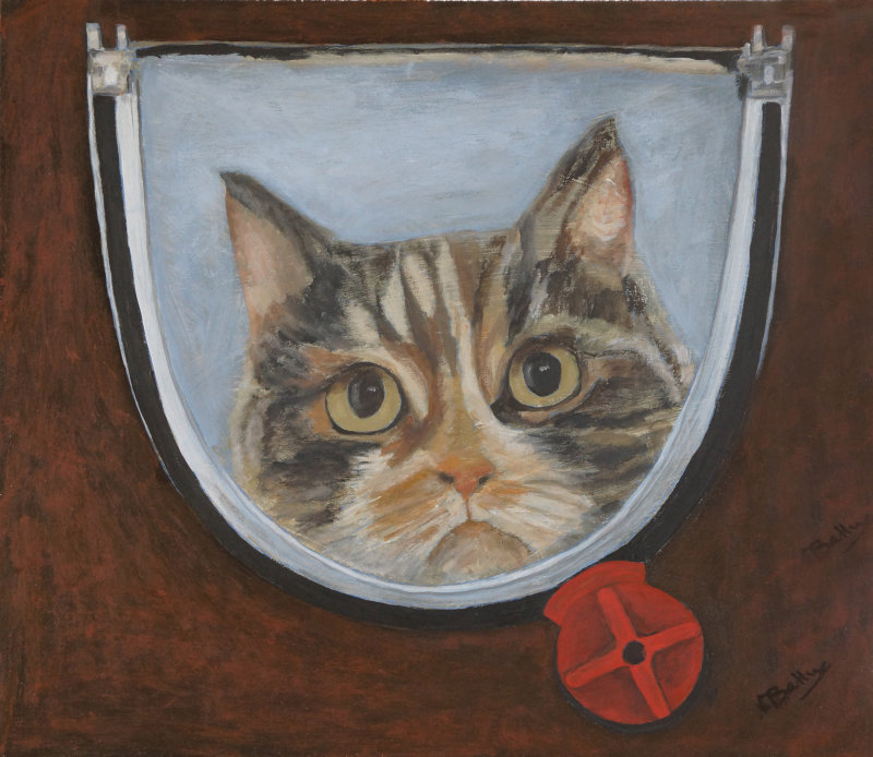 Who Locked The Cat Flap?