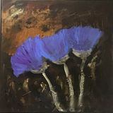 Cardoons in my Gsrden