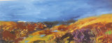 Sky Puddles i
