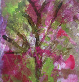 Emergent spring