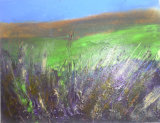 Moorland Autumn