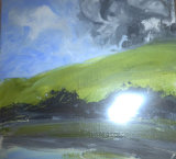 Windy day , Dartmoor