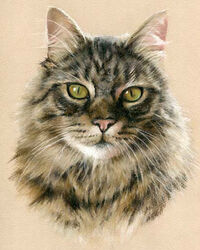 cat pastel portrait drawing