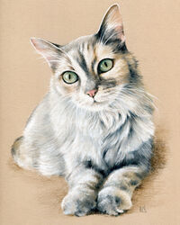 cat pastel portrait drawing