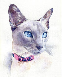 Cat watercolour portrait painting