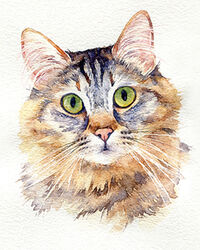 Cat watercolour portrait painting