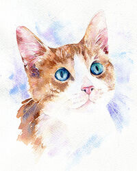Cat watercolour portrait painting