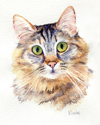 Cat watercolour portraits