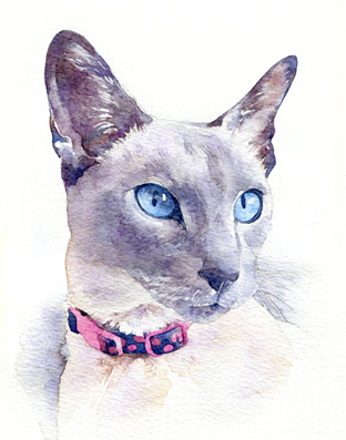 Cats