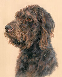 dog pastel portrait drawing