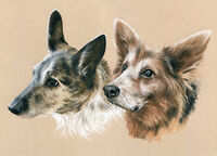 Dog pastel portrait drawing