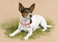 Dog pastel portrait drawing