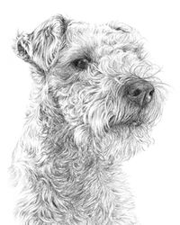 dog pencil portrait drawing