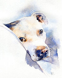 Dog watercolour portrait painting