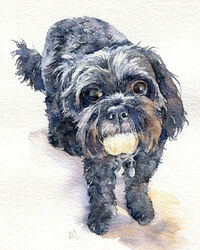 Dog watercolour portrait painting