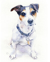 Dog watercolour portrait painting