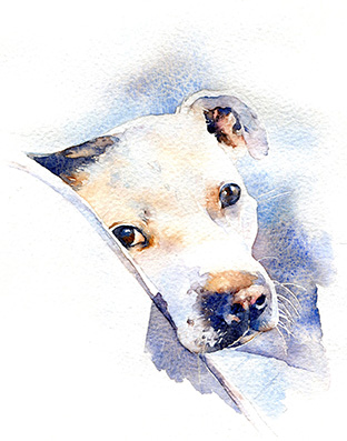 Dogs