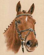 Horses