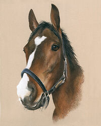 horse pastel portrait drawing