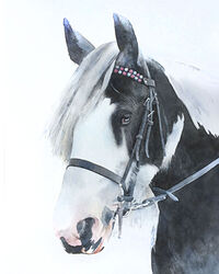 horse watercolour portrait painting