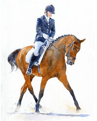 horse watercolour portrait painting