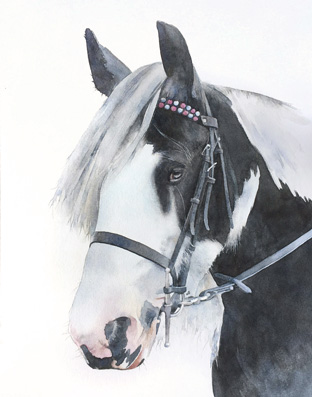 Horses
