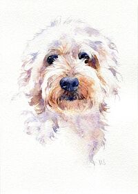 Watercolour painting of Labradoodle dog