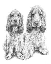 Dog pencil portrait drawing
