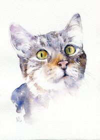 Watercolour painting of tabby cat