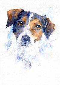 Watercolour portrait of Jack Russell terrier