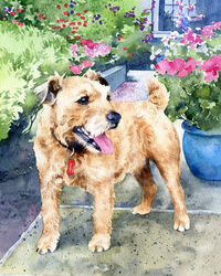 Dog watercolour portrait painting