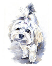 Dog watercolour portrait painting
