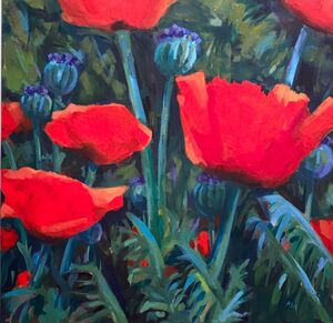 Poppies