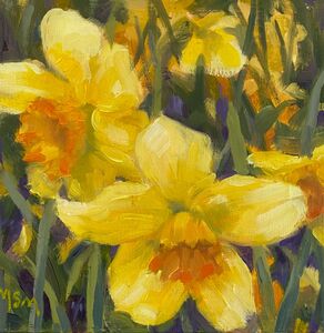 Nodding Daffodils