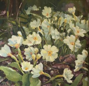 Floral Oil Paintings