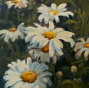 Ox Eye Daisies