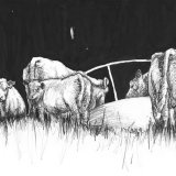 Ink & Charcoal on paper