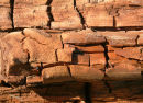 Cracked Wood