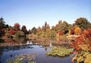 October Glory in Sheffield Park: East Sussex