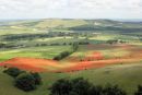 Looking towards Mount Caburn