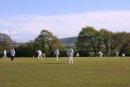 Cricket at Selmeston