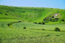 The Long Man of Wilmington: East Sussex