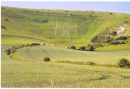 the Long Man of Wilmington: East Sussex