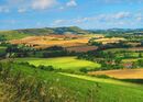 A July Patchwork of Fields below Firle Beacon