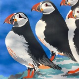 '...more Scilly Puffins'