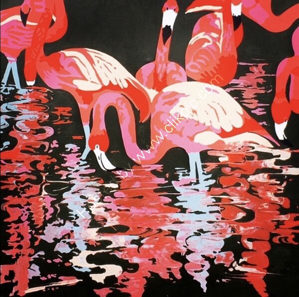 Pretty Flamingos