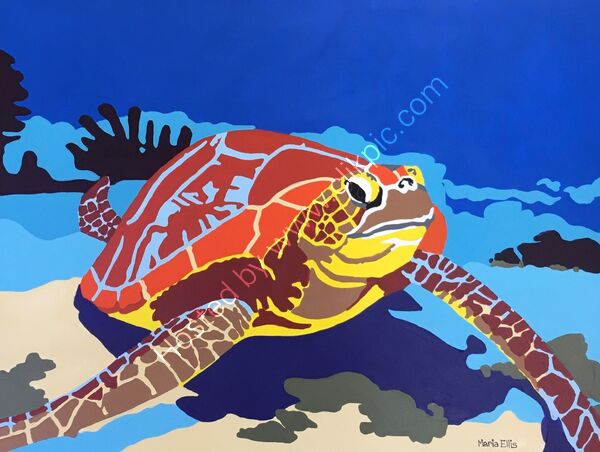 Sea Turtle