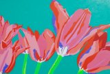 'Amazing Tulips'